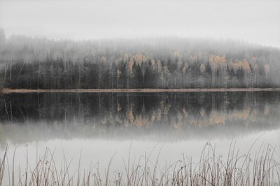 Zamlžené podzimní jezero od Christina Sillen