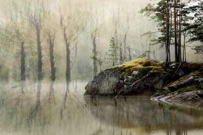 Jezero v mlžném lese od Christina Sillen
