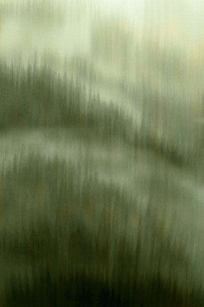 Klid v mlhavém lese od Christina Sillen