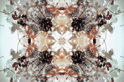 Tlumený botanický kaleidoskop od Christina Sillen