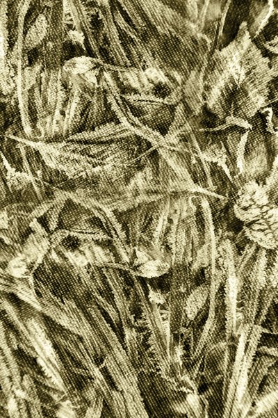 Rustikální listová textura od Christina Sillen