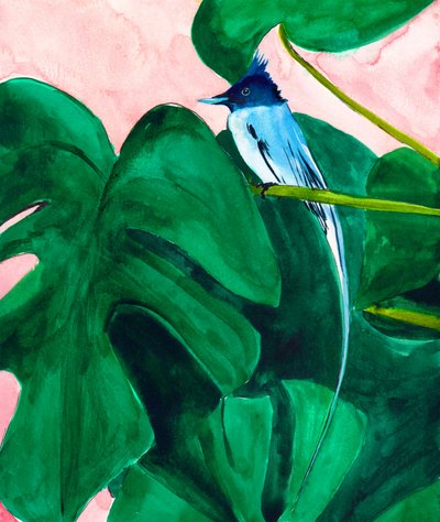 List tropické rostliny Monstera od Christine Lindstrom