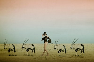 Procházka pouští s oryxem od Christine von Diepenbroek
