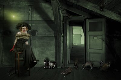 Excentrická žena v podkroví od Christine von Diepenbroek
