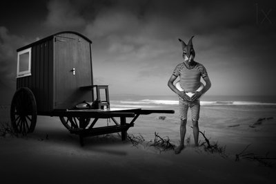 Osamělý koupající se na pláži Lone Rabbit od Christine von Diepenbroek