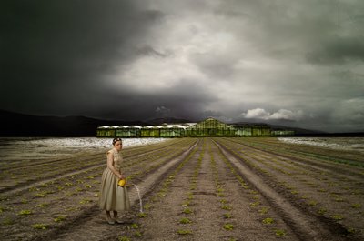 Osamělý zahradník Stormy Field od Christine von Diepenbroek