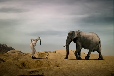 Surrealistické setkání v poušti od Christine von Diepenbroek