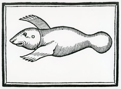 Ryba zvaná „Manati“ z „Obecné historie Indie“ z roku 1547 od Christopher Columbus