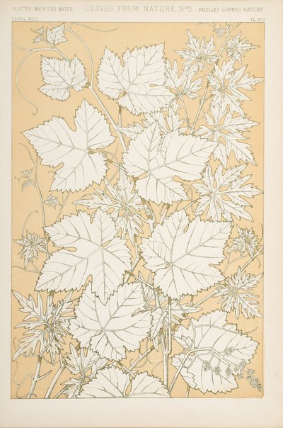 Listy z přírody, 1868 (chromolitho) od Christopher Dresser