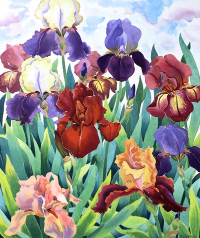 Glemsford Irises od Christopher Ryland