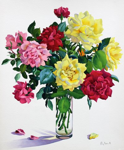 June Roses (akvarel na papíře) od Christopher Ryland