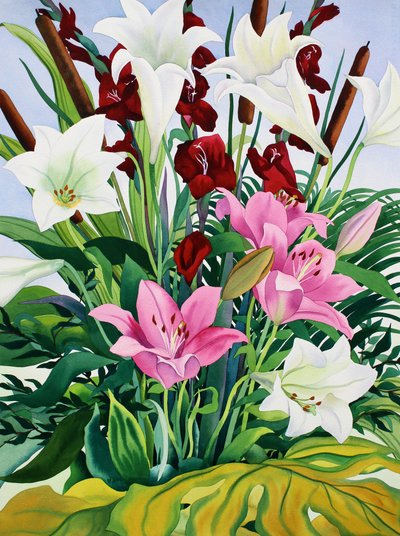 Lilie a Bullrushes (akvarel na papíře) od Christopher Ryland