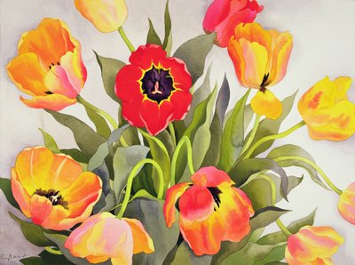 Oranžové a červené tulipány (wc) od Christopher Ryland