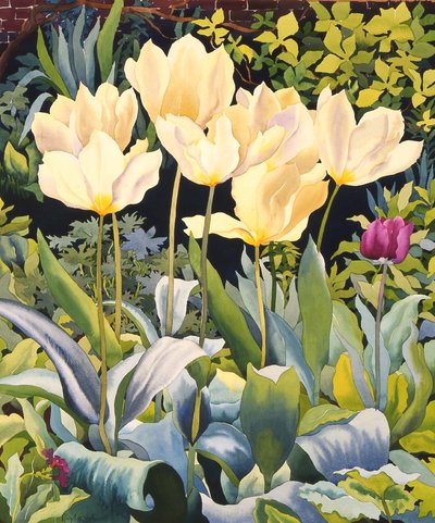 Světlé tulipány (akvarel na papíře) od Christopher Ryland