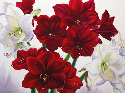 Červená a bílá Amaryllis, 2008 (wc na papíře) od Christopher Ryland