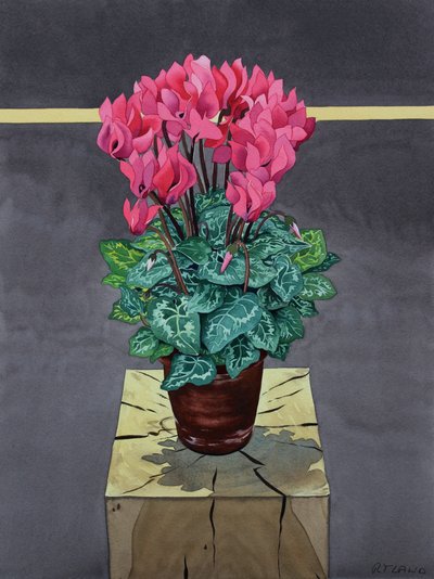 Zátiší Cyclamen (akvarel na papíře) od Christopher Ryland