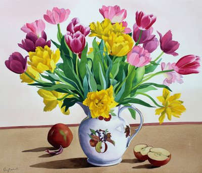 Tulipány ve džbánu s jablky (akvarel na papíře) od Christopher Ryland