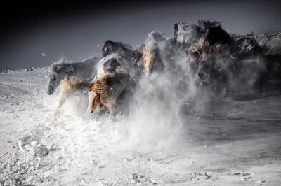 Zimní koňský běh od Chuanxu Ren