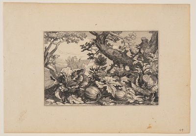 Strom a melouny, z knihy Krajiny (Verscheyden aerdige Lanthuysen...) od Claes Jansz. Visscher