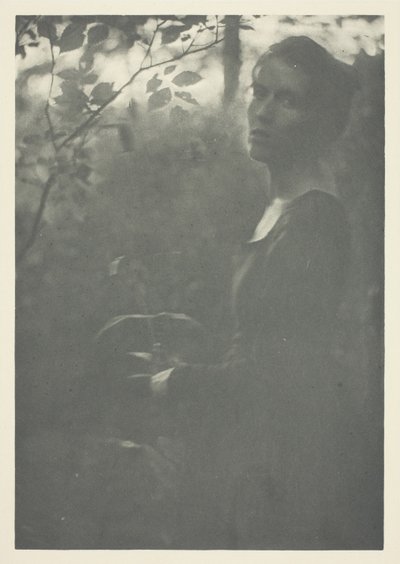 Edge of Woods od Clarence H. White