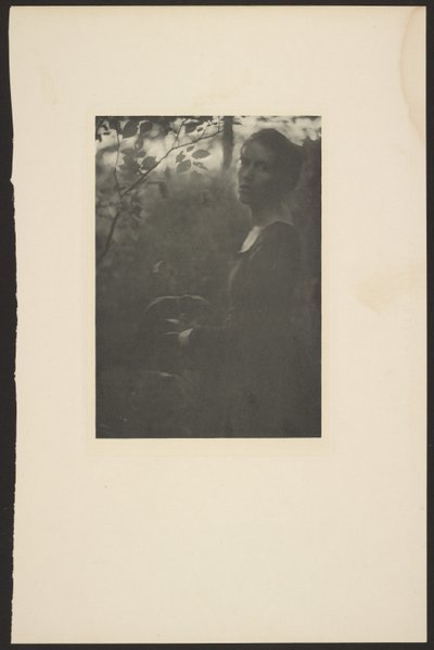 [Kraj lesa -- Večer] od Clarence H. White