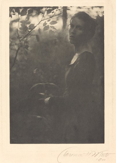 Edge of the Woods, večer od Clarence H. White