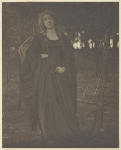 Bez názvu [žena v lese], 190105. od Clarence H White