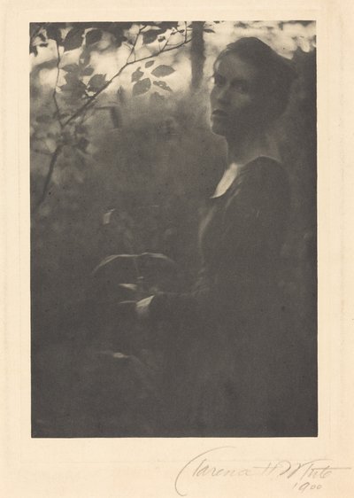 Okraj lesa, večer,1900 (foto) od Clarence Henry White