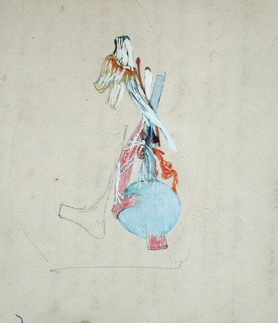 Nervový systém v hlavě kočky, 25. května 1842 (tužka a akvarel na papíře) od Claude Bernard