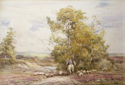 Dorsetský pastorační od Claude Hayes