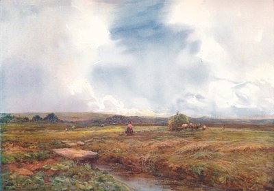 Hayfield, 1872-1906, 1906. od Claude Hayes