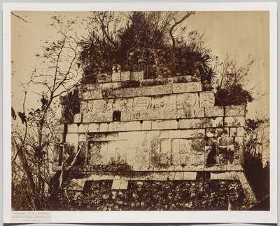 Palác cirkusu v Chichen-Itza (basreliéf tygrů) od Claude Joseph Désiré Charnay