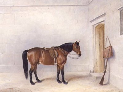 Saddled Bay Střelba Pony od Claude L. Ferneley