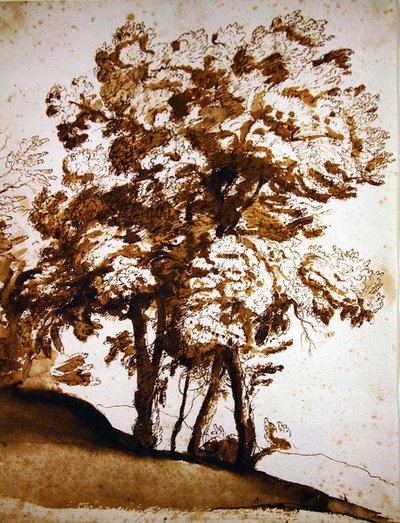 Skupina stromů na slunci (pero, inkoust a mytí na papíře) od Claude Lorrain