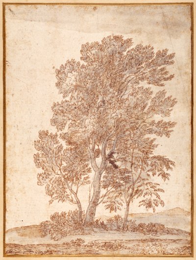 Tři stromy (pero a hnědý inkoust s šedou barvou na papíře) od Claude Lorrain