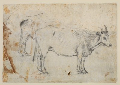 Studie vola od Claude Lorrain