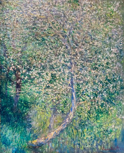 Jabloně v květu na okraji vody od Claude Monet