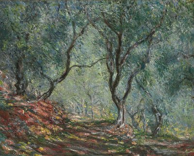 Olivový háj v zahradě Moreno, 1884 od Claude Monet