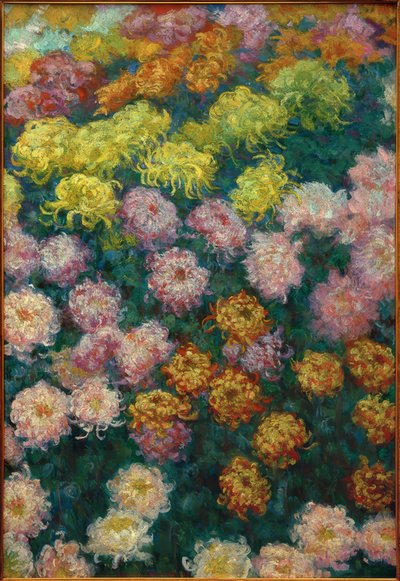Chrysanthemenbeet, 1897 od Claude Monet