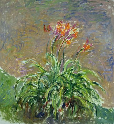 Hemerocallis, 1914-17 od Claude Monet