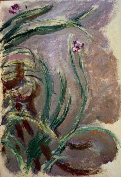 Iris (Irises) od Claude Monet