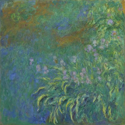 Kosatce od Claude Monet