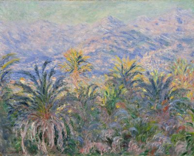 Palmy v Bordighera od Claude Monet