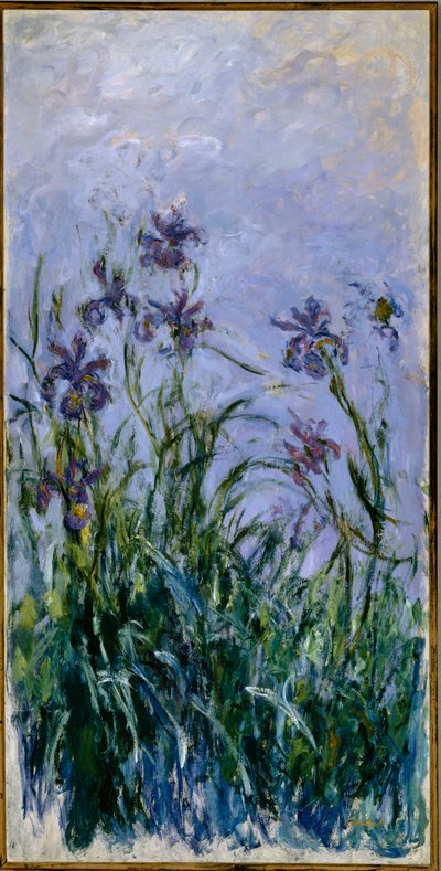 Fialové kosatce, 1914-17 od Claude Monet