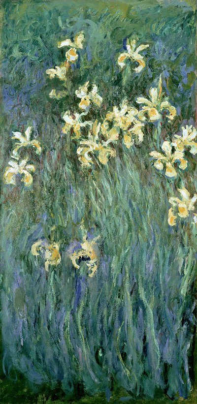 Žluté kosatce od Claude Monet