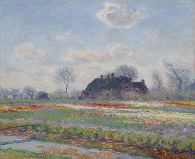 Tulipánová pole v Sassenheimu, 1886 od Claude Monet
