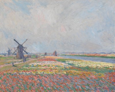 Tulipánová pole poblíž Haagu. od Claude Monet