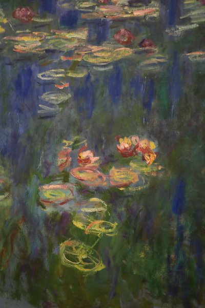 Lekníny (olej na plátně) od Claude Monet