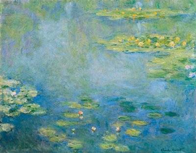 Lekníny, c. 1906 od Claude Monet