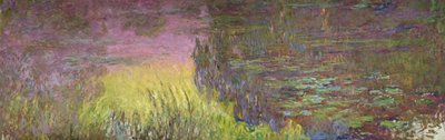 Lekníny při západu slunce od Claude Monet
